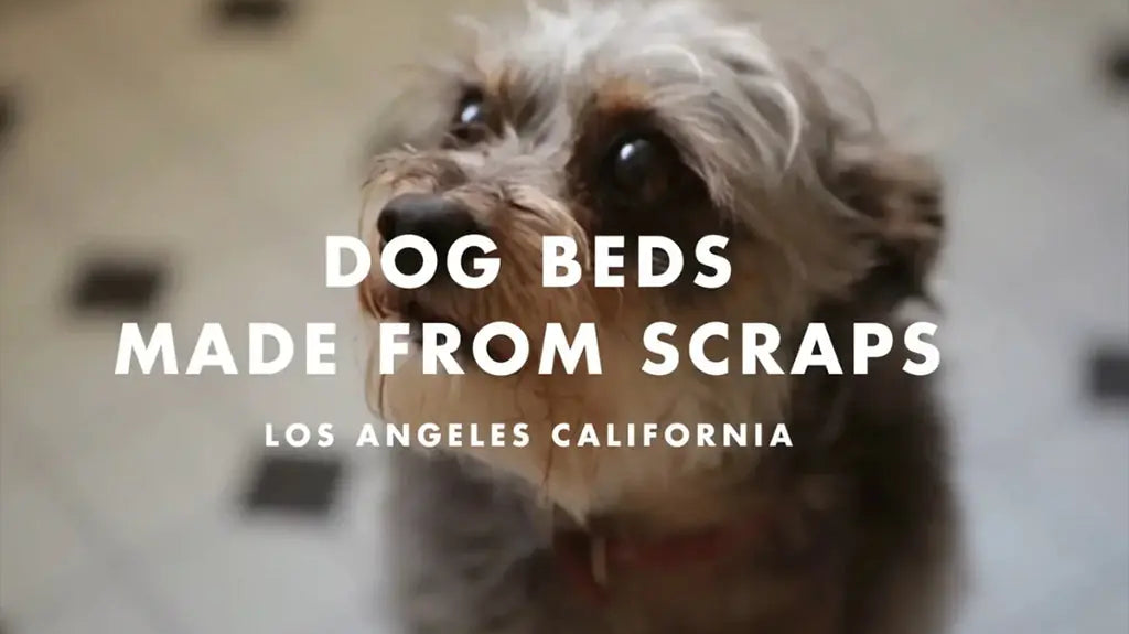 Dog-Beds-Made-from-our-Scraps Late Sunday Afternoon