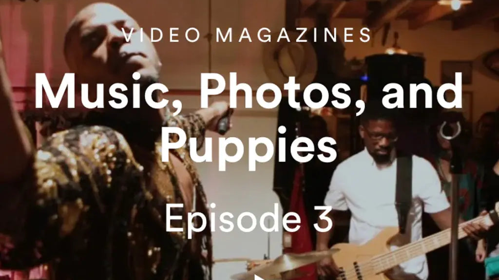 Music-Photos-and-Puppies Late Sunday Afternoon
