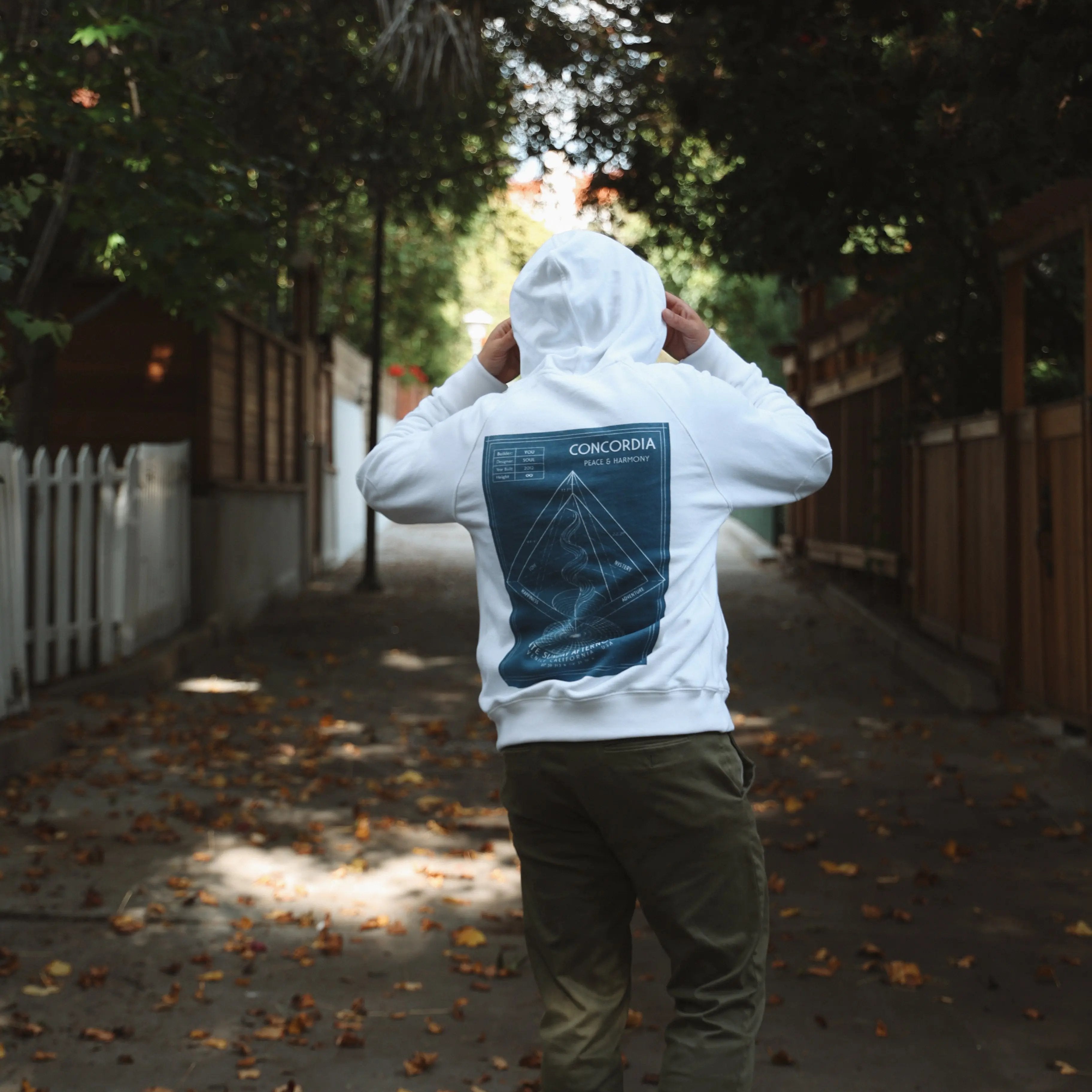 Apollo Hoodie | Concordia Print Late Sunday Afternoon
