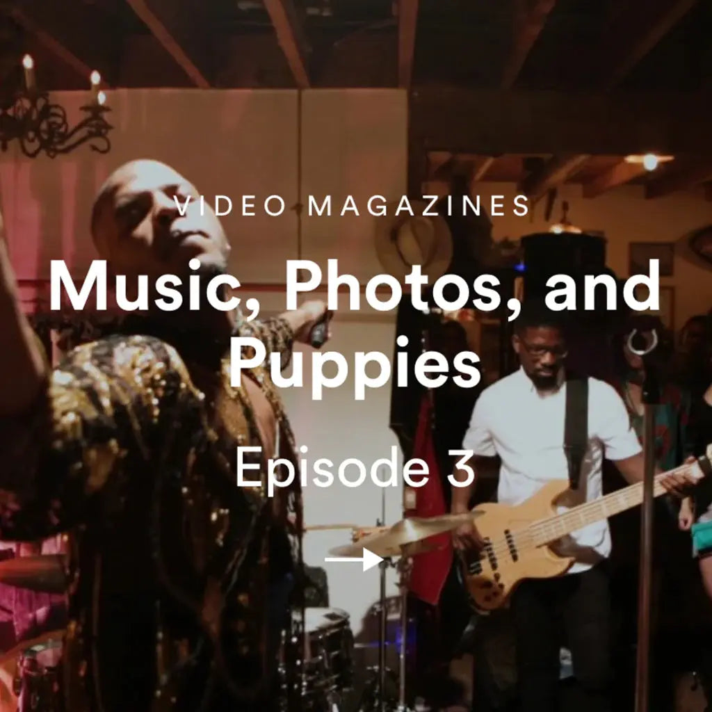 Music-Photos-and-Puppies Late Sunday Afternoon