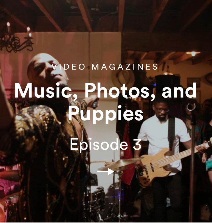 Music, Photos, and Puppies