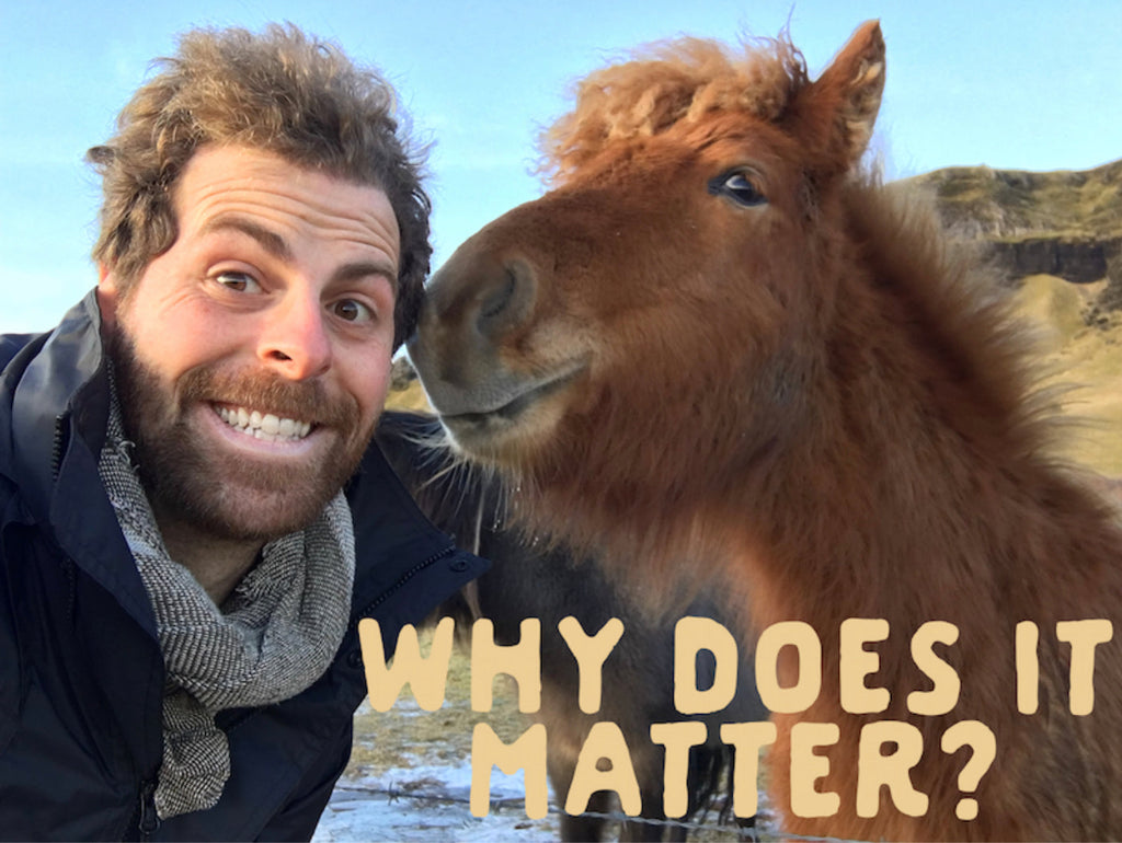WHY DOES IT MATTER?