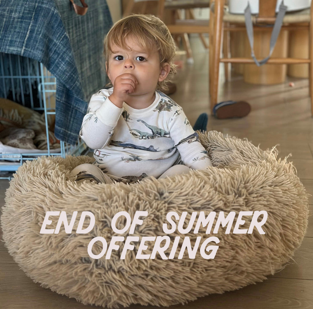 END OF SUMMER OFFERING