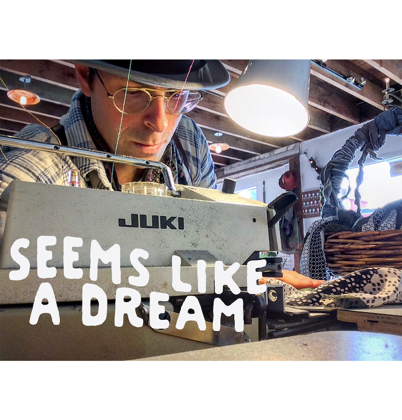 SEEMS LIKE A DREAM