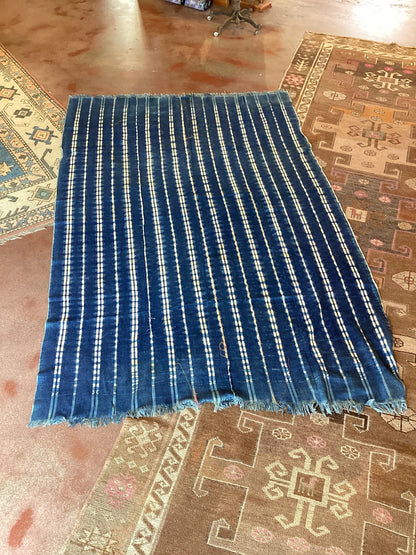 Dash Line African Blanket Bully