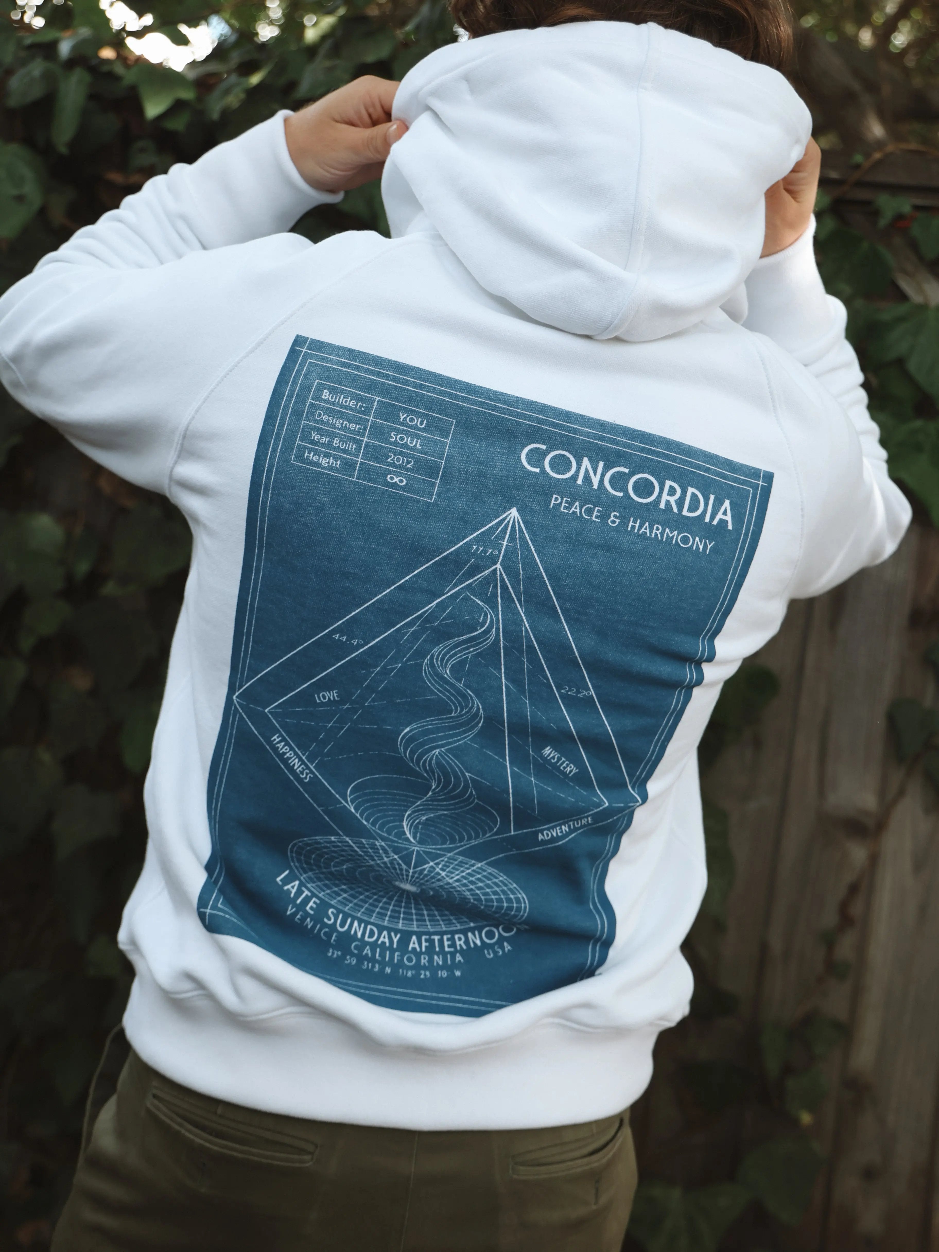 Apollo Hoodie | Concordia Print Late Sunday Afternoon