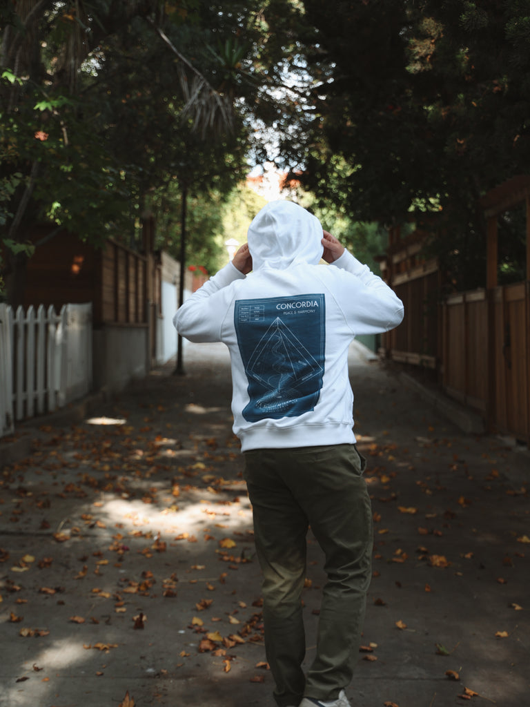 Apollo Hoodie | Concordia Print Late Sunday Afternoon