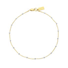 Austen Anklet Set & Stones