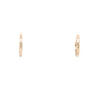 Gold El Dorado Huggie Hoop Earrings Young in the Mountains