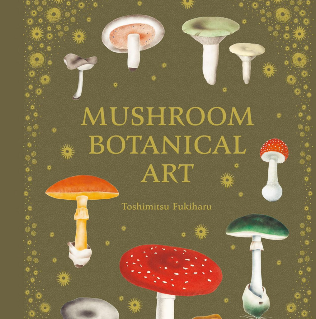Mushroom Botanical Art Late Sunday Afternoon