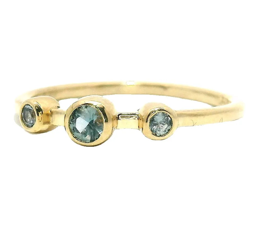 The Cerberus - Montana Sapphire Ring Young in the Mountains