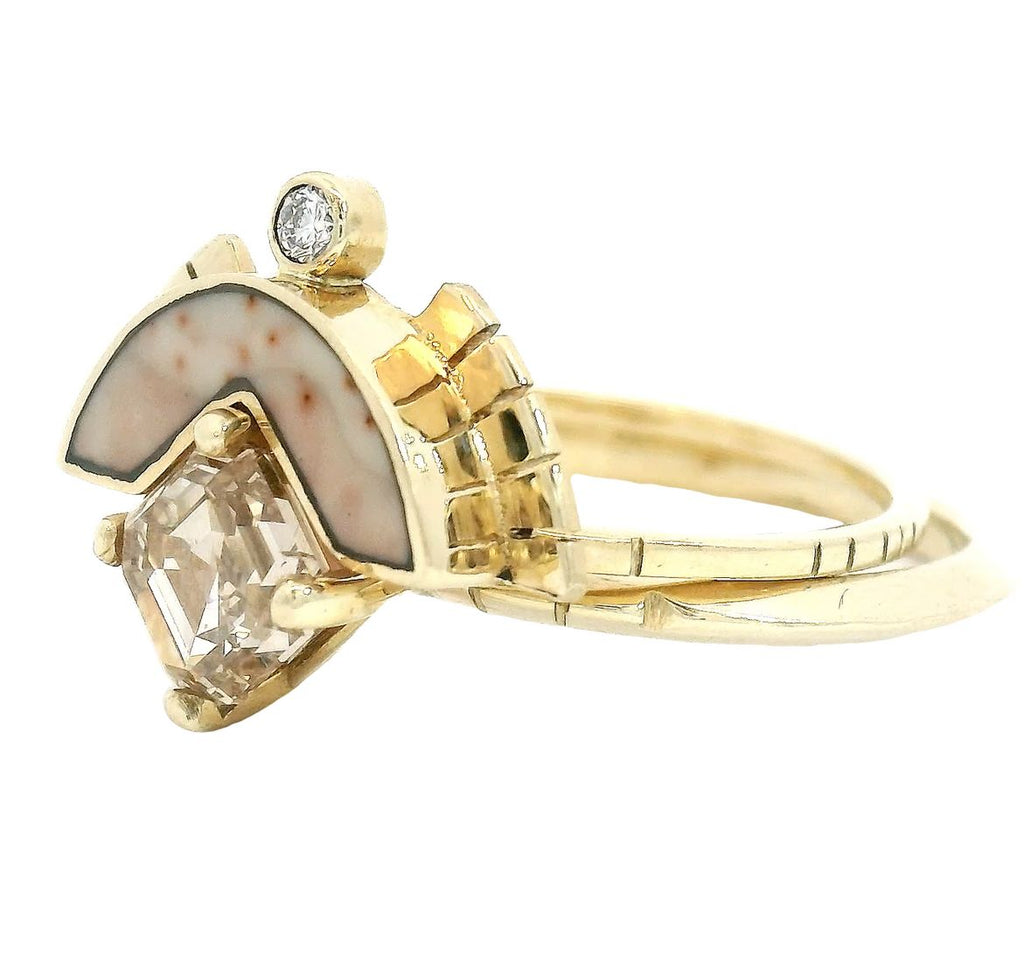 The Lluvia Set Young in the Mountains