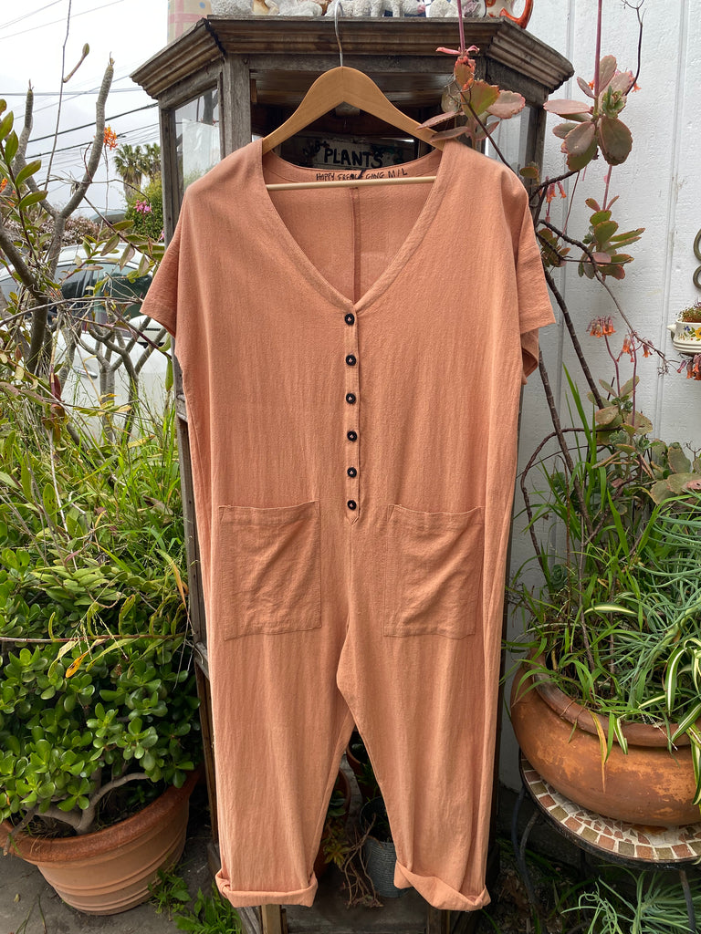 a terracotta colored short sleeve jumpsuit displayed on a hanger